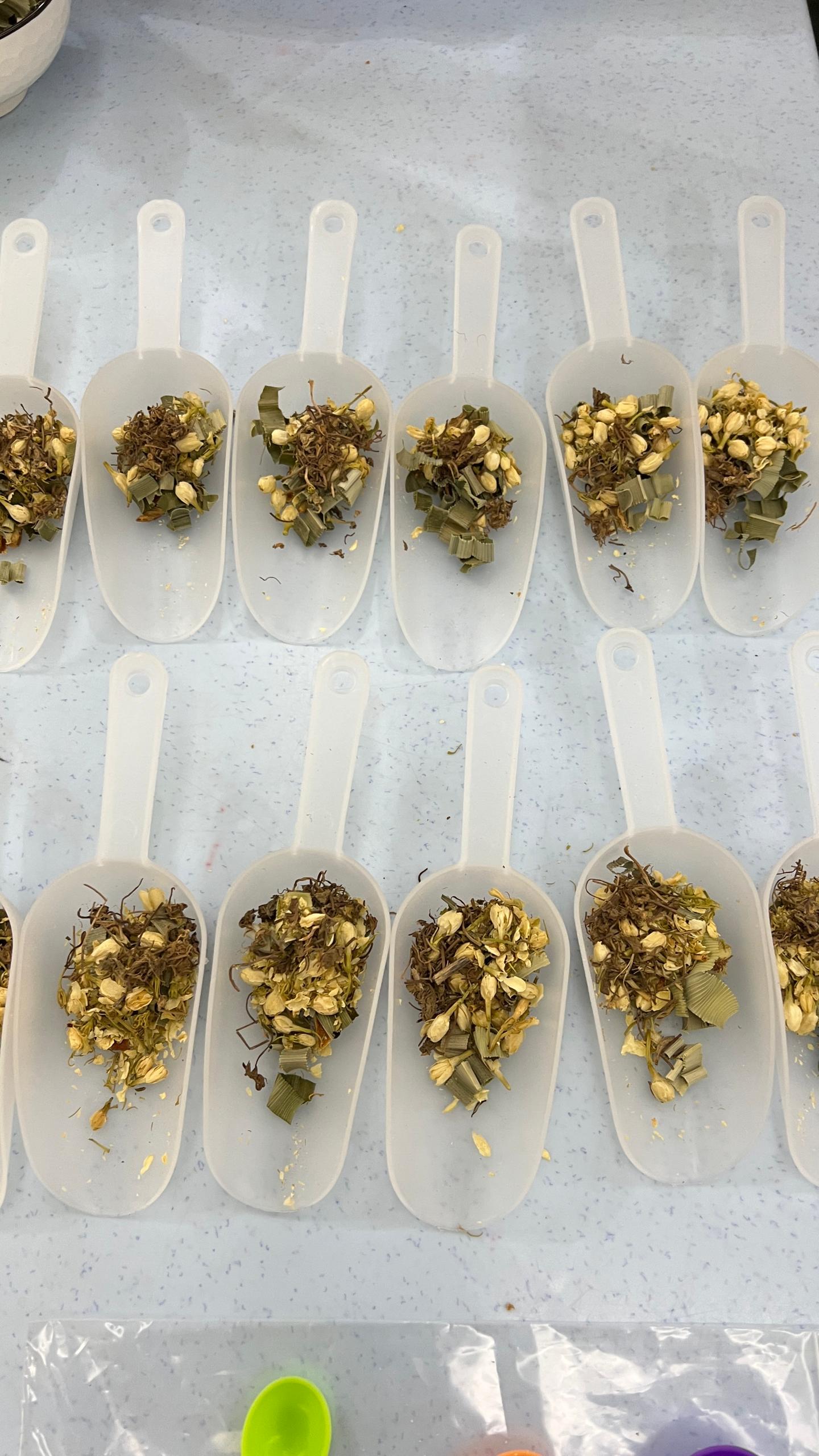 Cinta Herbs workshop gallery 5
